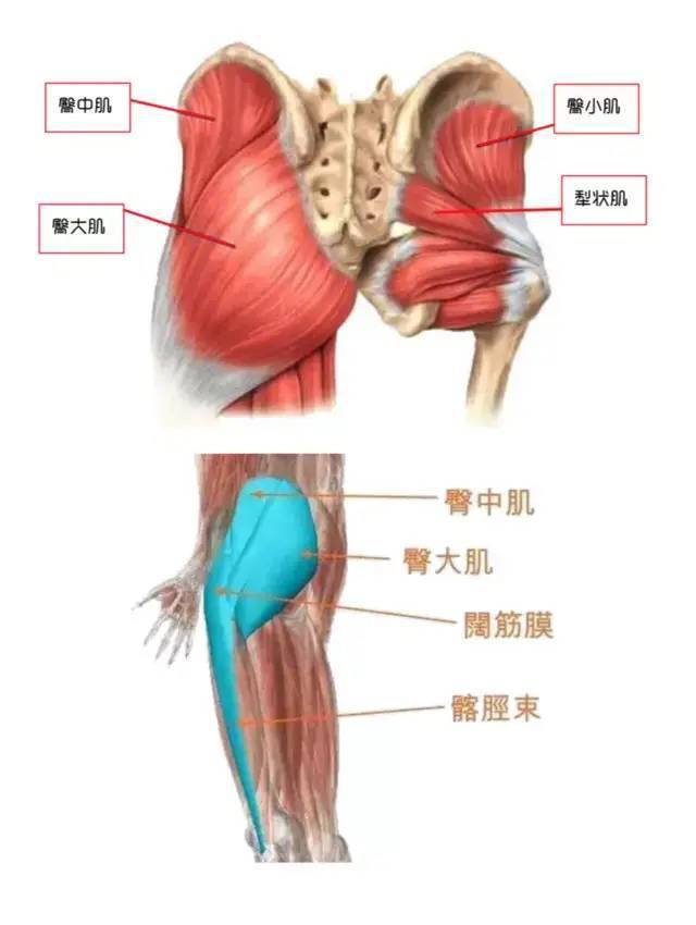 最新臀療手法視頻，探索臀部美麗與健康之道