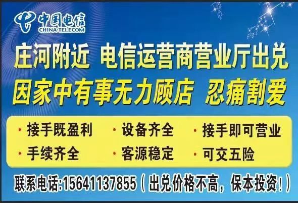 莊河最新招聘網(wǎng)，人才與機(jī)遇的橋梁