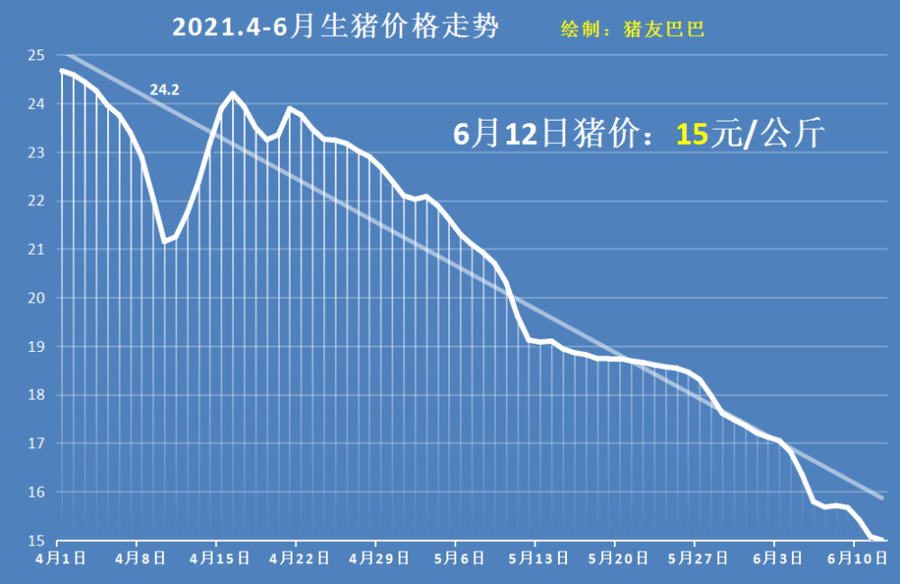 全國生豬價格最新行情分析今日發(fā)布