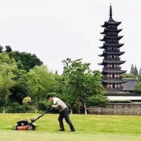 中山年票最新動(dòng)態(tài)，政策調(diào)整及未來(lái)展望