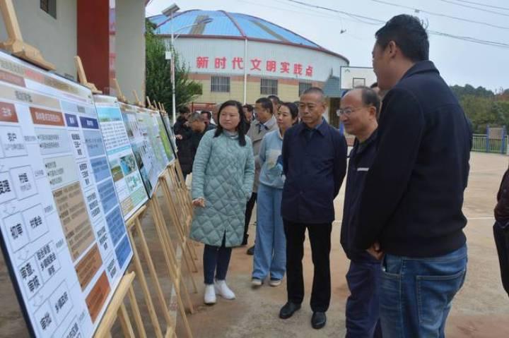 四河村委會(huì)最新交通新聞